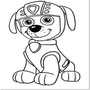 Paw Patrol Zuma Đáng Yêu